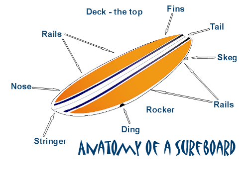 partes de una tabla de surf