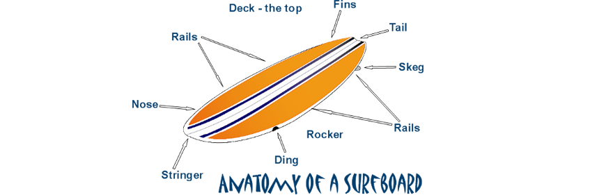 Parts of a Surfboard