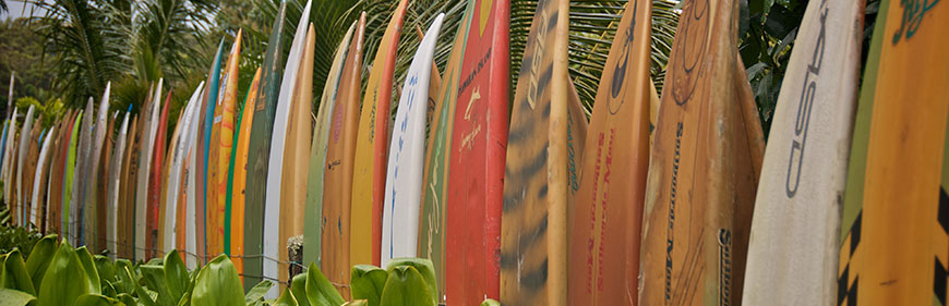 Surf trip with boards