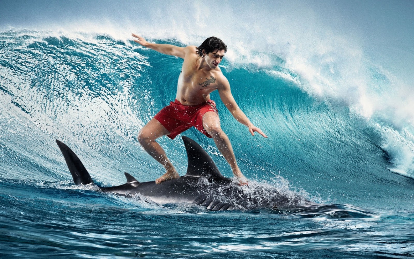 El tiburón, el mayor temor del surfista